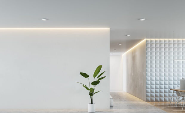 view on green plant on concrete floor on blank white backlit wall with place for your advertising poster background in stylish sunlit office